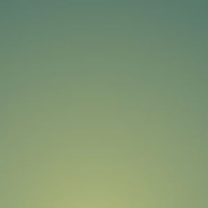 Meet your Posher, Del'shaun